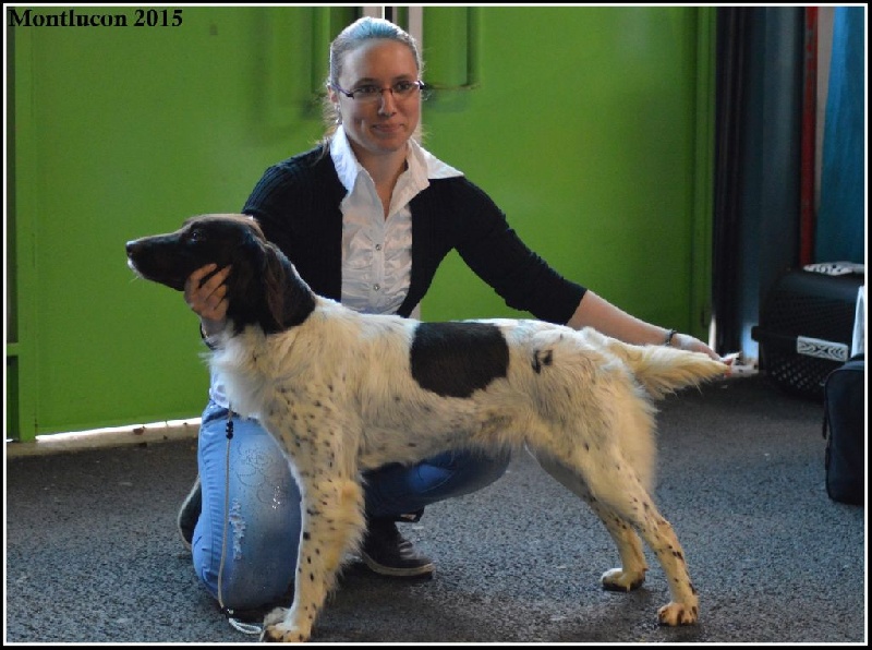 Gaïa Du bois de riancey - 1er Excellent - CACS - CACIB - Meilleur De Race