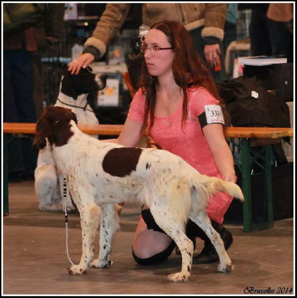 Gaïa Du bois de riancey - 1er excellent RCAC RCACIB