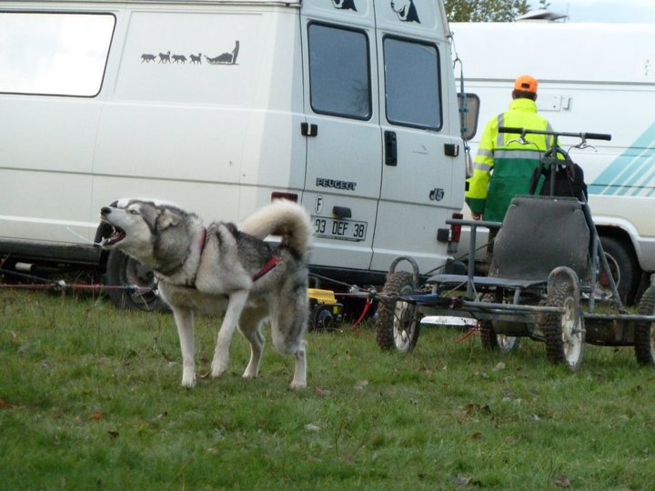 Publication : Des Evenks De Siberie Auteur : Vanessa JAUD