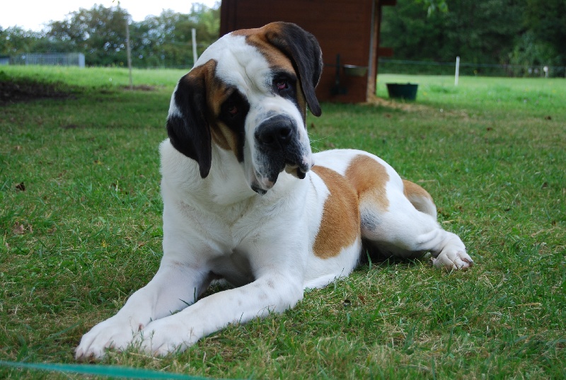 Publication : De l'Univers De Sirka Auteur : l UNIVERS DE SIRKA