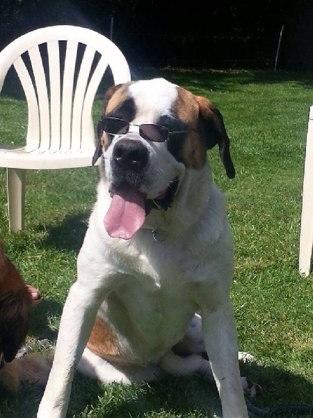 Publication : De l'Univers De Sirka Auteur : l UNIVERS DE SIRKA