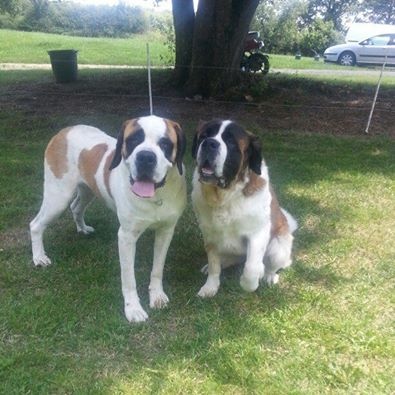 Publication : De l'Univers De Sirka Auteur : l UNIVERS DE SIRKA