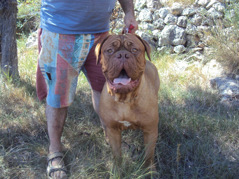 Emmi des ancêtres de stramousse