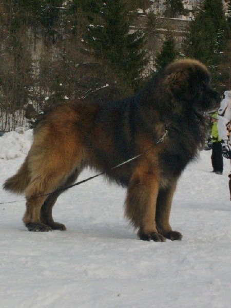 Publication : Des Plaines D'epona