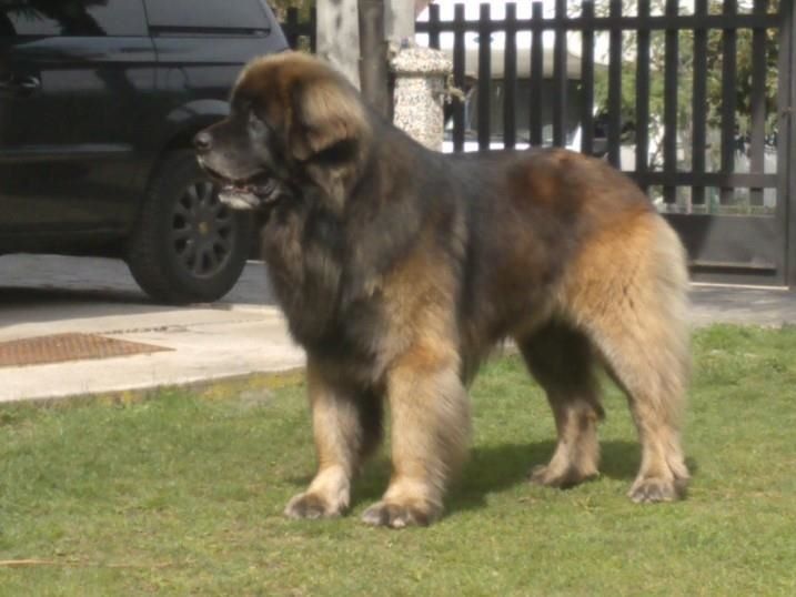 Publication : Des Plaines D'epona