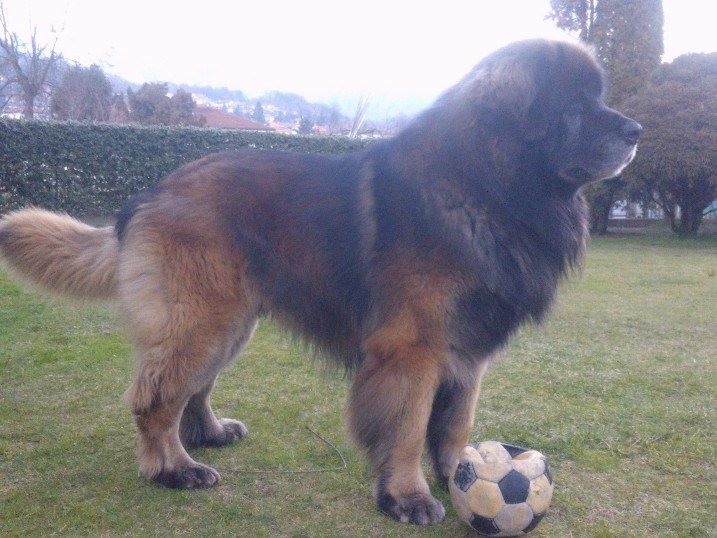 Publication : Des Plaines D'epona