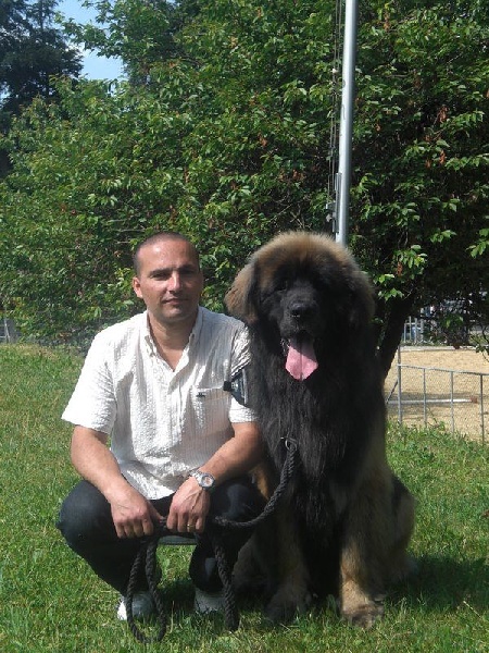 Publication : Des Plaines D'epona