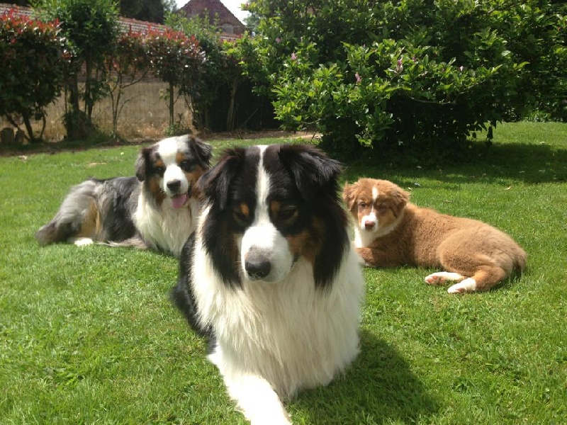 Sr. indian kwanita for inaya Of Winner Mistral