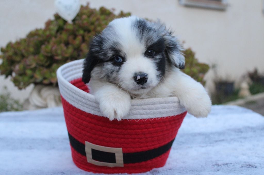 Another star is born