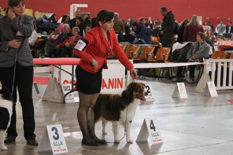 Give me a enchanted goddess Of Winner Mistral - 4° Excellent