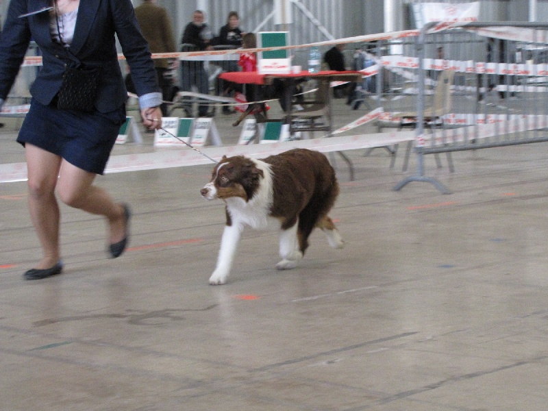 Give me a enchanted goddess Of Winner Mistral - Prometteur