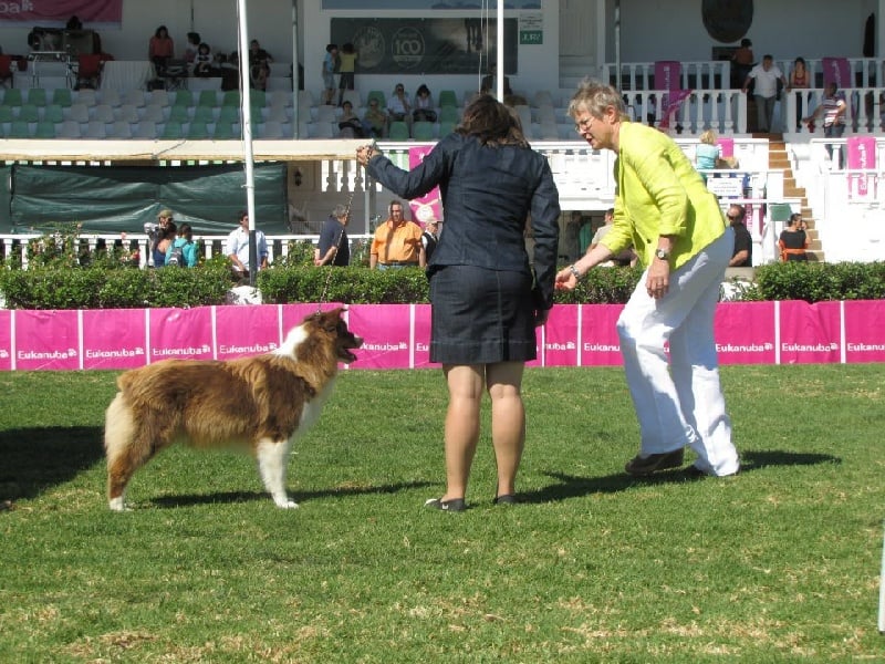 Give me a enchanted goddess Of Winner Mistral - 2° EXCELLENT