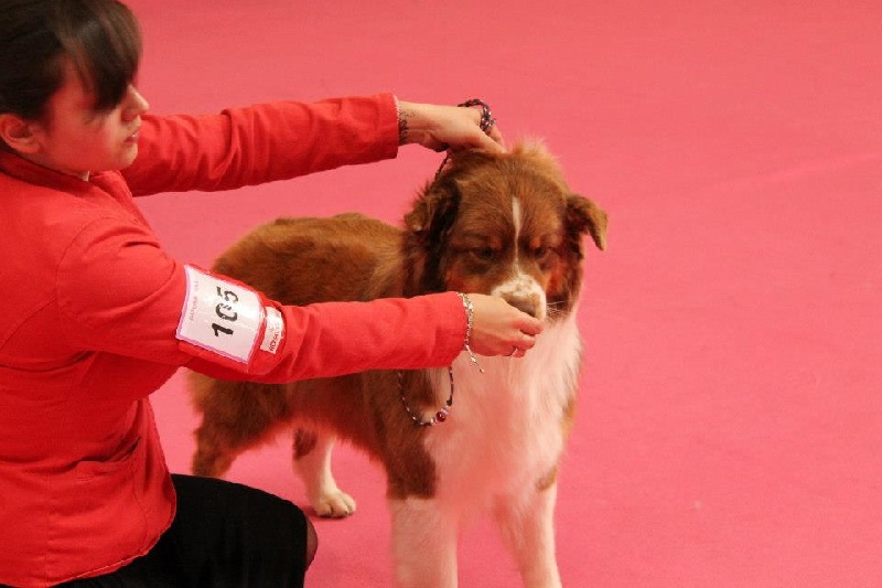 Give me a enchanted goddess Of Winner Mistral - 4° Excellent