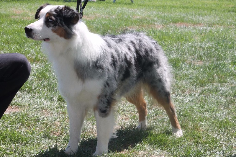 Island paradise Of Winner Mistral - 1° EXCELLENT RCACS