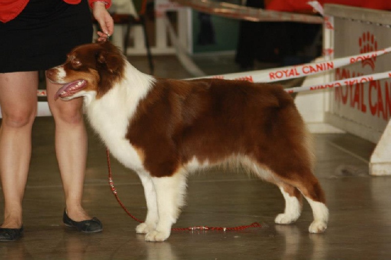 Give me a enchanted goddess Of Winner Mistral - 1° EXCELLENT mais après constatations TB