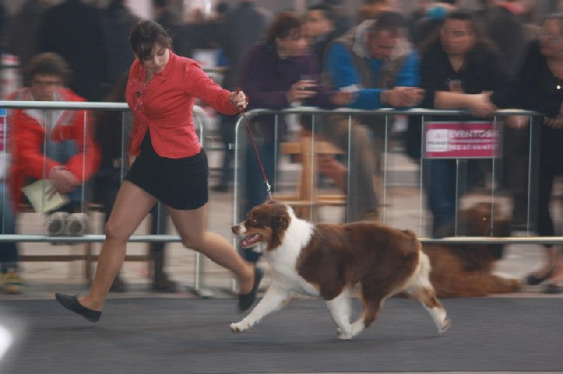 Give me a enchanted goddess Of Winner Mistral - 1° EXCELLENT