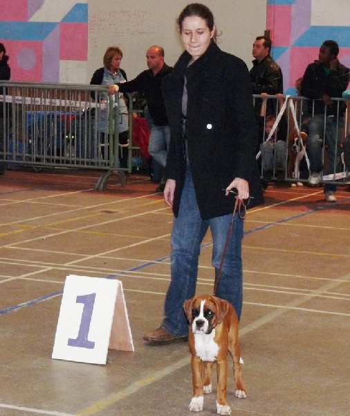 Gézabelle Du Domaine Des Audes - 1 ère Trés Prometteur