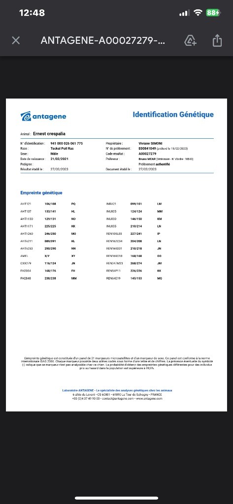 Publication : Du Domaine De Basso Auteur : Sv