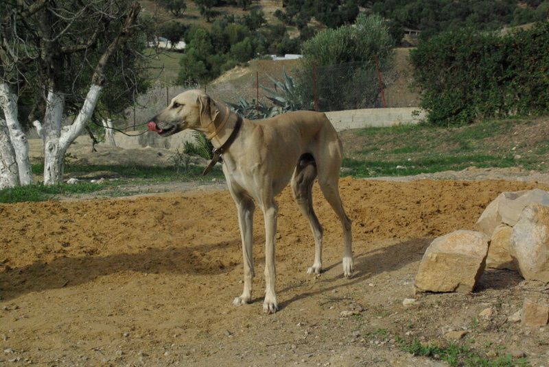 Publication : Des Hauts de la Claie Des Fonds Auteur : André Cadoch