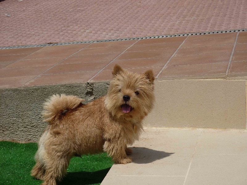 Publication : Du Bocage Des Soeurs Auteur : Roche Bergua Diana