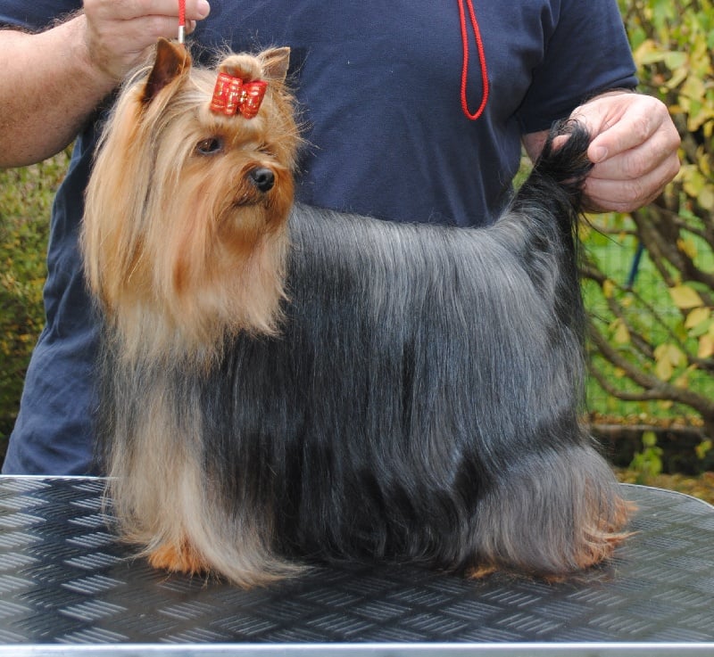 Publication : colmaris Auteur : 9 mois