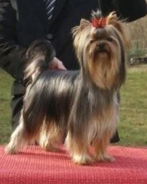 Publication : colmaris Auteur : 9 mois