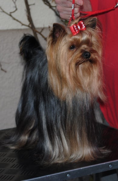 Publication : colmaris Auteur : 9 mois