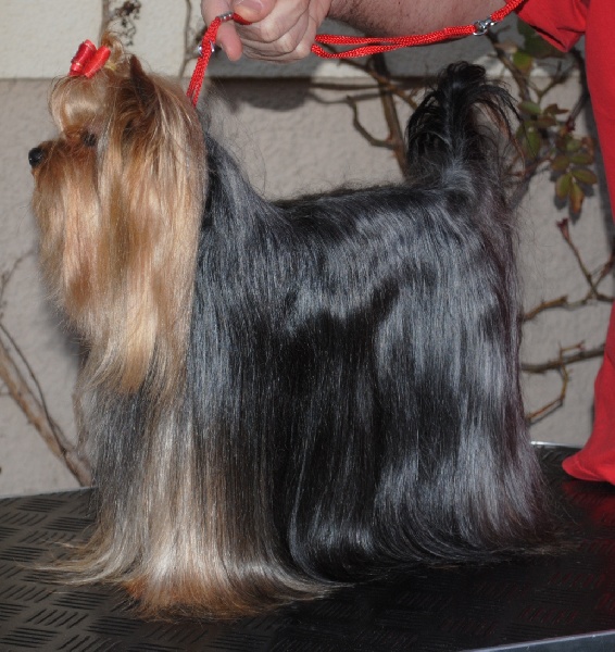 Publication : colmaris Auteur : 9 mois