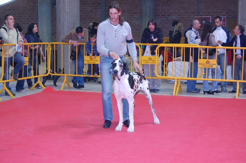 Emmy (dit elga) (Sans Affixe) - 1ere Ex RCAC cl.inter