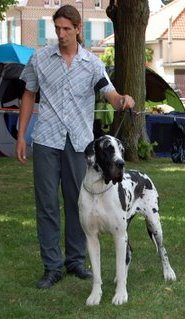 Emmy (dit elga) (Sans Affixe) - 1er Excellent