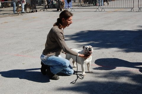 Elfy (Sans Affixe) - 1er Excellent - CACS