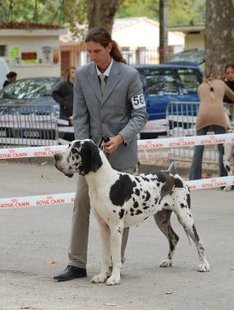 Emmy (dit elga) (Sans Affixe) - 3ème Excellent