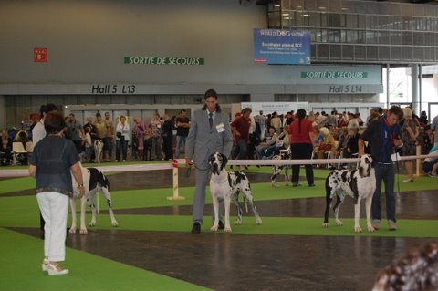 Emmy (dit elga) (Sans Affixe) - Excellent - NC