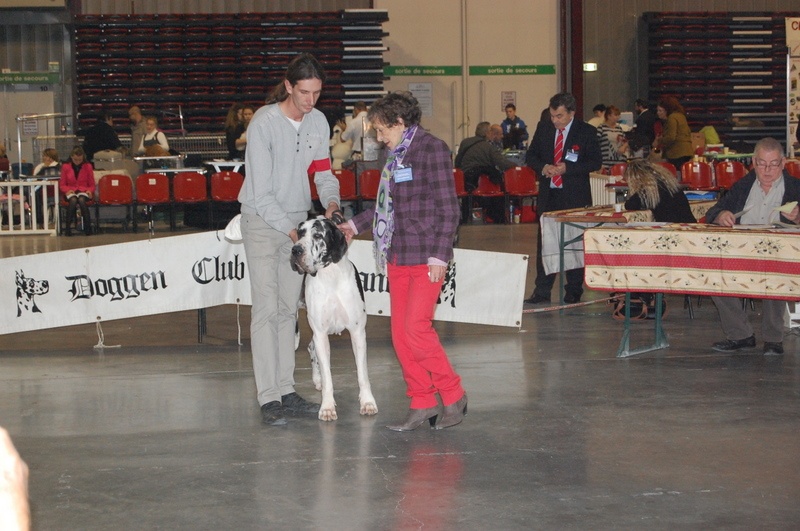 Emmy (dit elga) (Sans Affixe) - 1er Excellent - RCACS