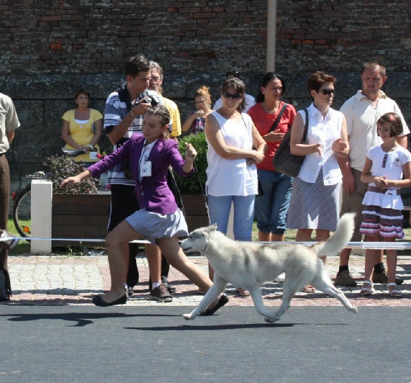 Publication : Player's Dream Auteur : Michael Delecool