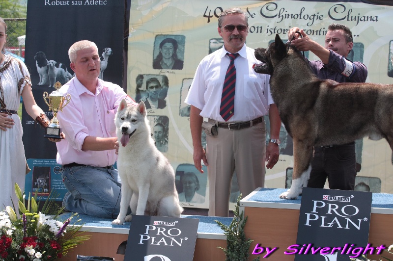 Publication : Player's Dream Auteur : Michael Delecool