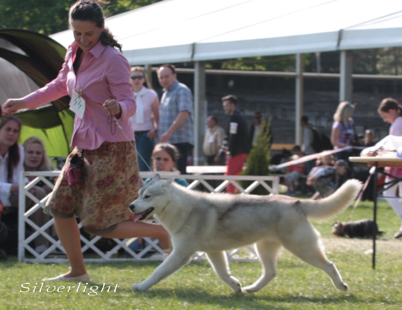 Publication : Player's Dream Auteur : Michael Delecool