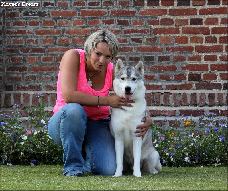 Publication : Player's Dream Auteur : Michael Delecool