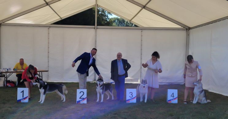 CH. Player's Dream Raging storm - 2° Exc classe jeune