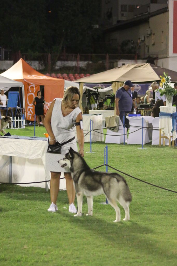 CH. Player's Dream Raging storm - 2° Exc RCAC