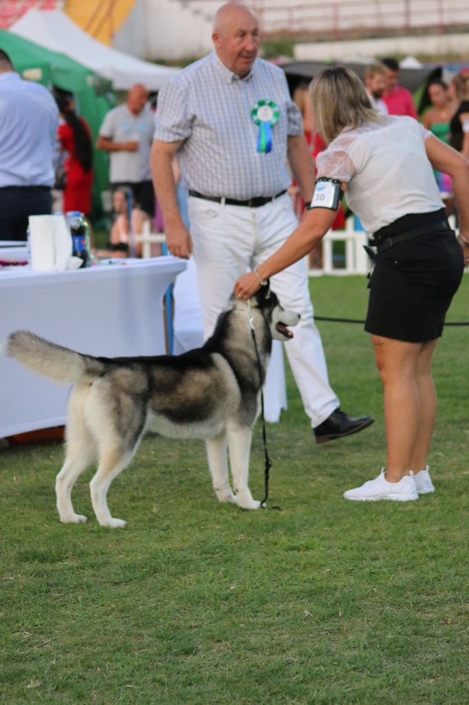 CH. Player's Dream Raging storm - 2° Exc RCAC