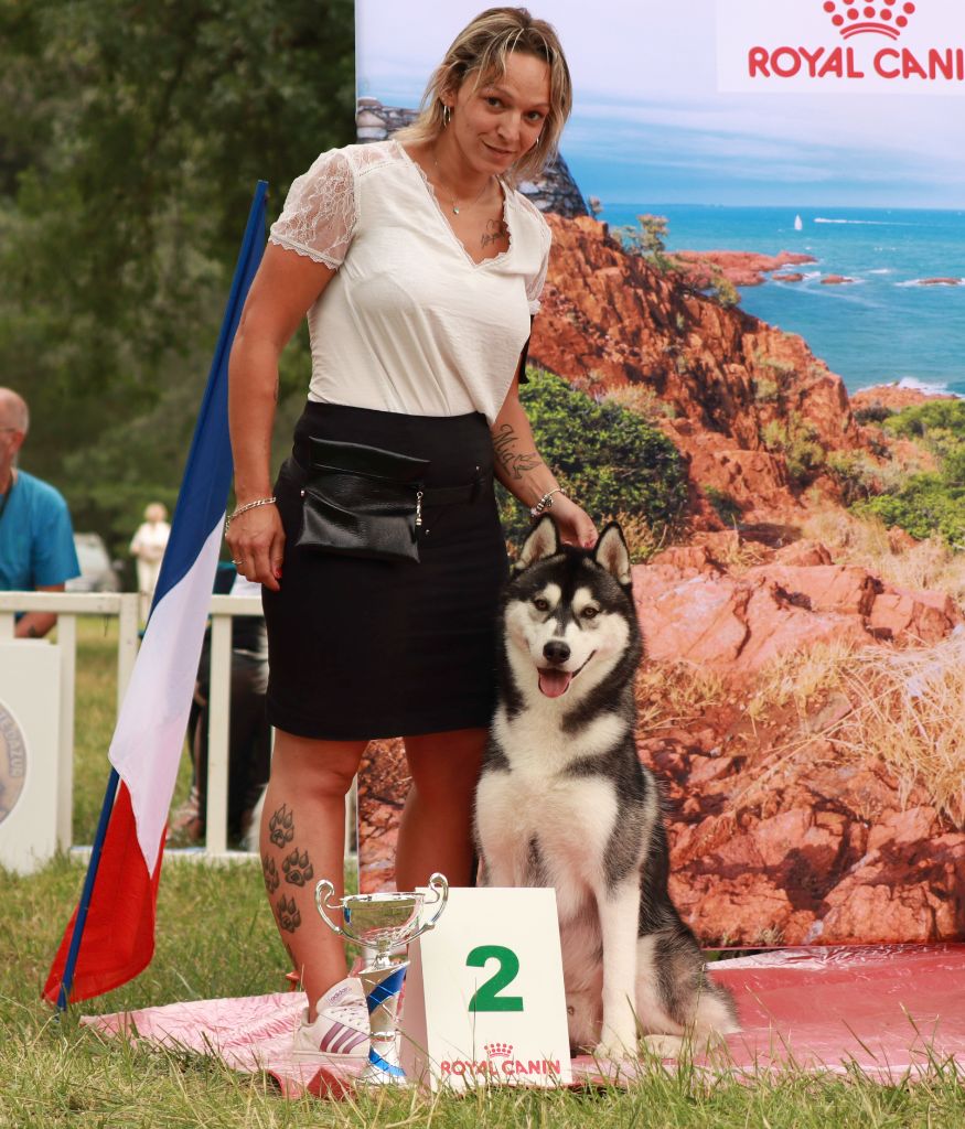 CH. Player's Dream Raging storm - 1° Exc BOBJ BOGJ2