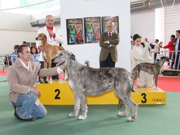 Publication : De Cabrasfigas