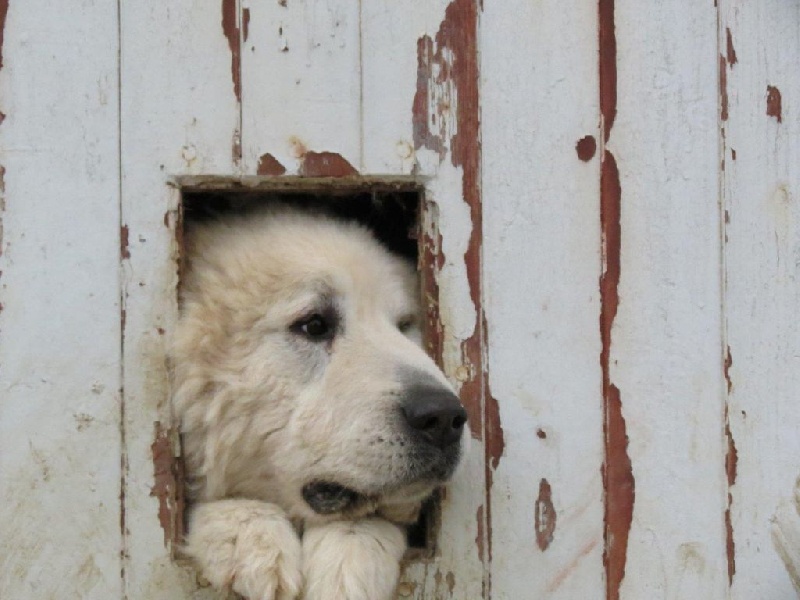 Publication : De Bigerionnes Auteur : Régine CAPEL