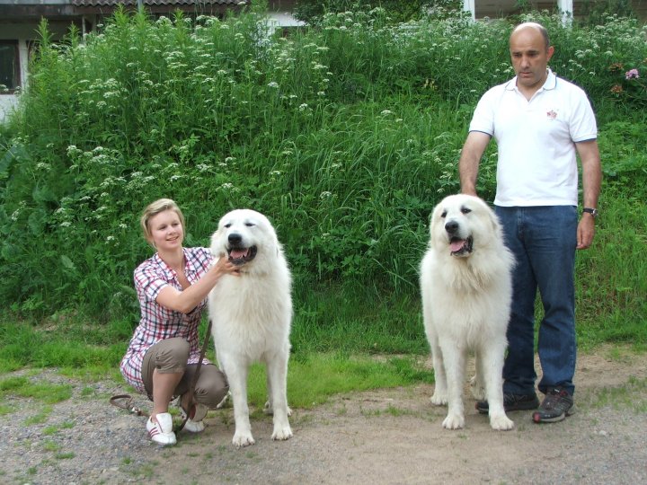 Publication : De Bigerionnes Auteur : Régine CAPEL