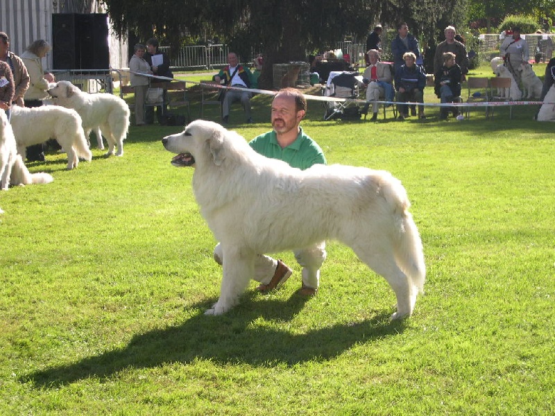 Publication : De Bigerionnes Auteur : Régine CAPEL