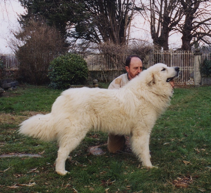 Publication : De Bigerionnes Auteur : Régine CAPEL