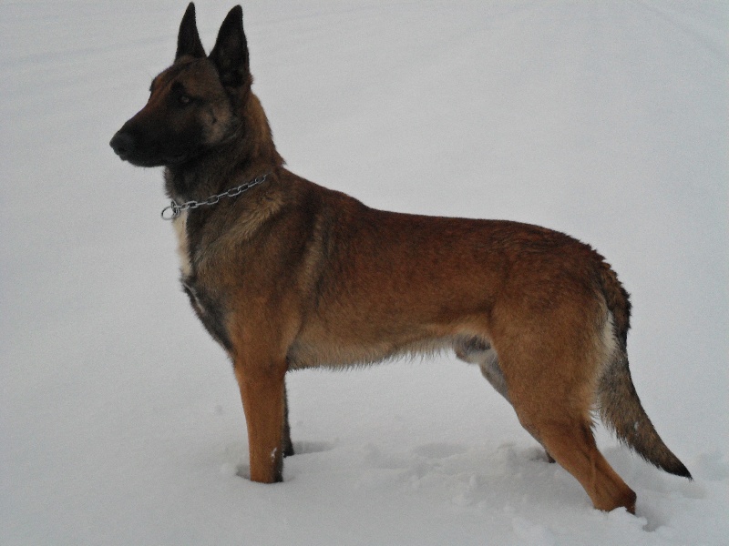 Doom du Banc des Hermelles