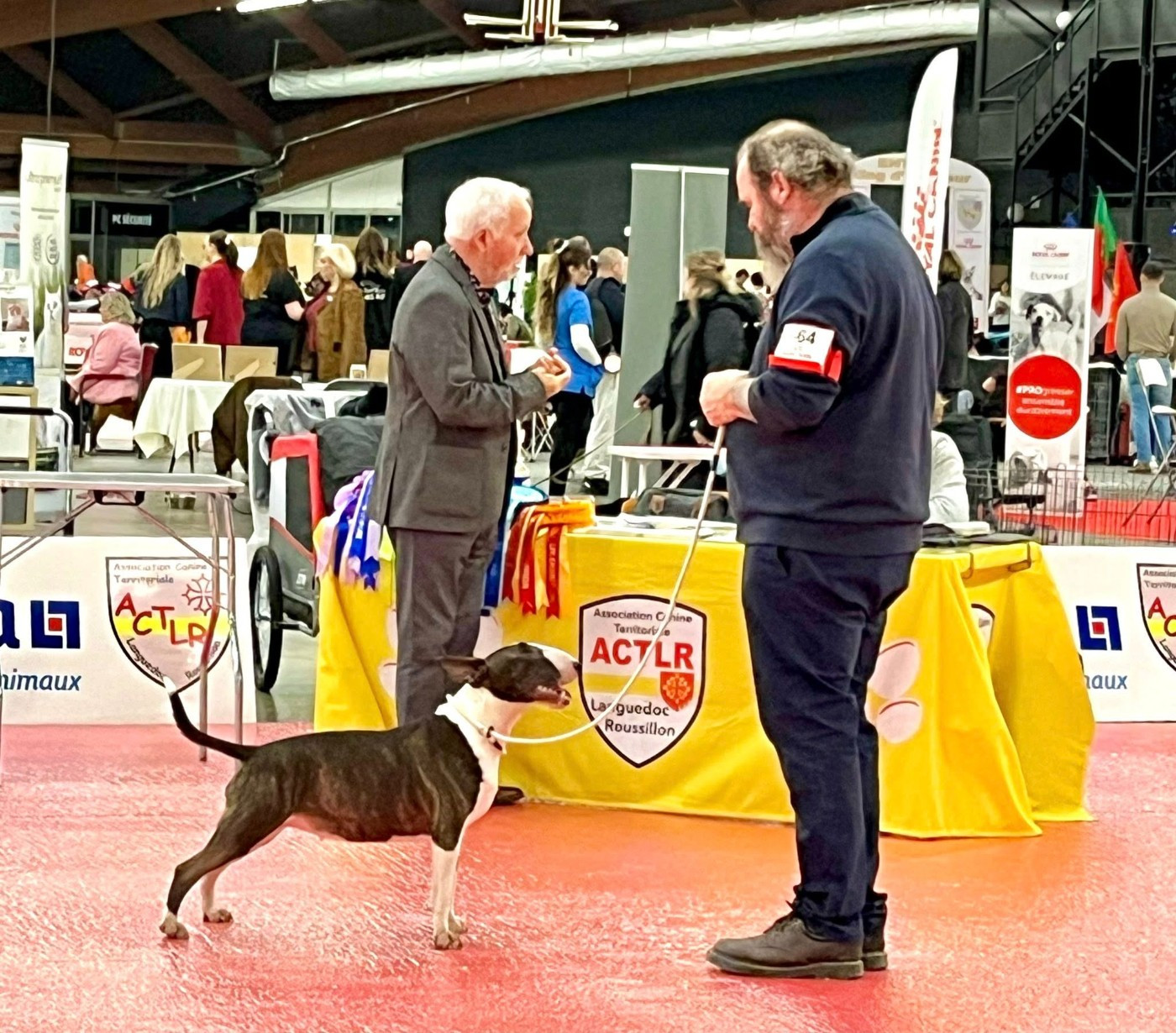 Bull's Den Alita Battle Angel