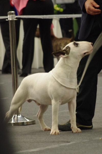 monte palancar Baby's on fire aka glloq - TB